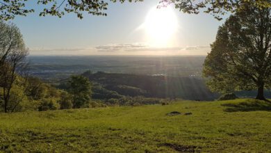 Sonnenuntergang über der Schwäbischen Alb vom Jusi aus gesehen