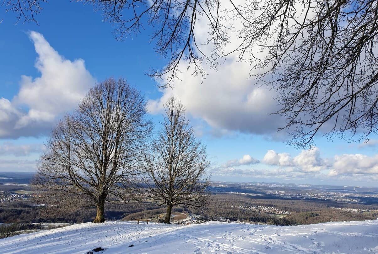 Verschneite Winterlandschaft mit Bäumen und Fernblick vom Jusi