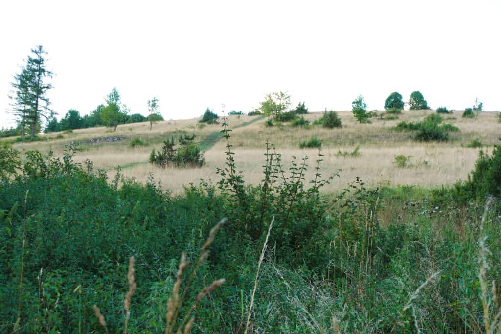 Wacholderheide Beutenlay hochgehhütet Wanderweg Münsingen