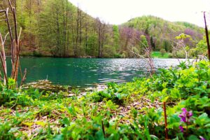 Kaltentalweiher bei Bad Urach