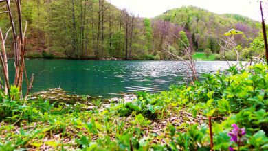 Kaltentalweiher bei Bad Urach