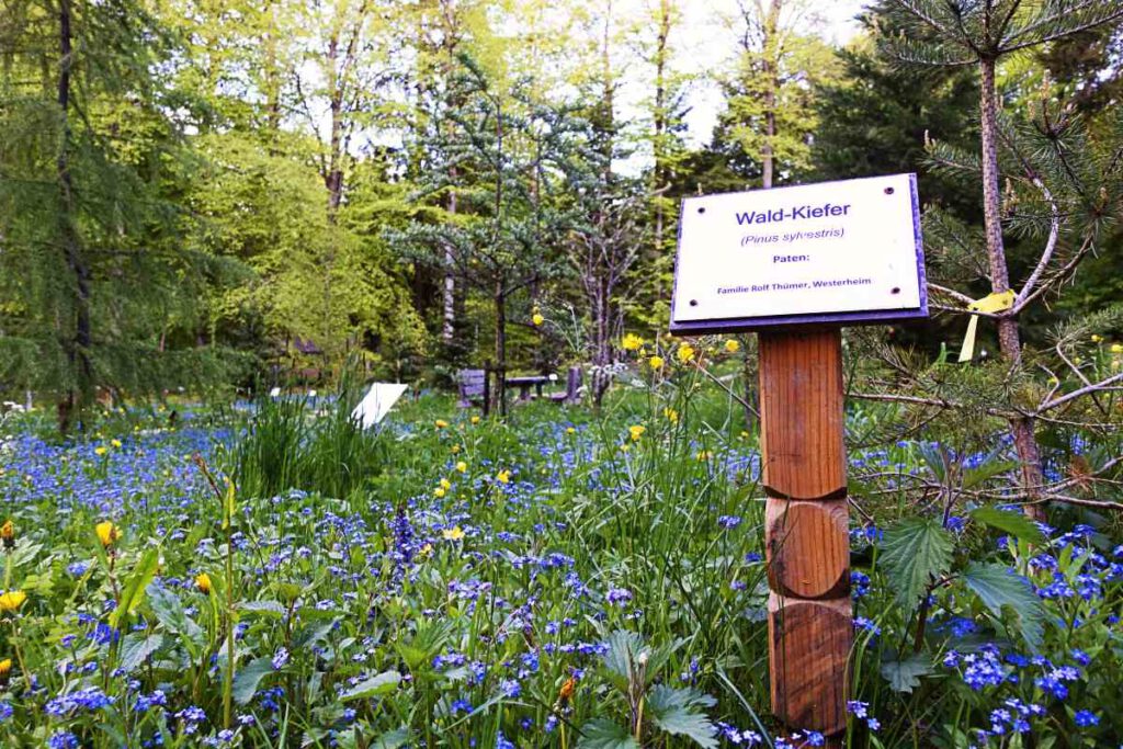 Lehrpfad Wildgehege Westerlau Laichingen