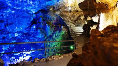 Bärenhöhle innen farbig beleuchtet