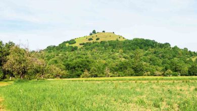 Limburg Weilheim Teck