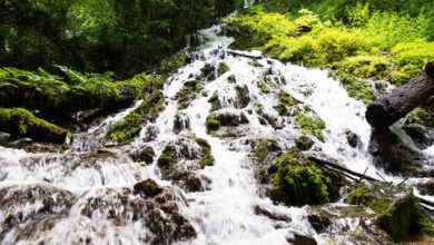 Autalwasserfälle Bad Überkingen