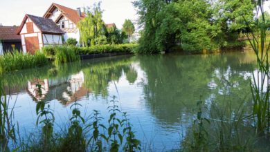 Lonetopf in der Gemeinde Lonesee