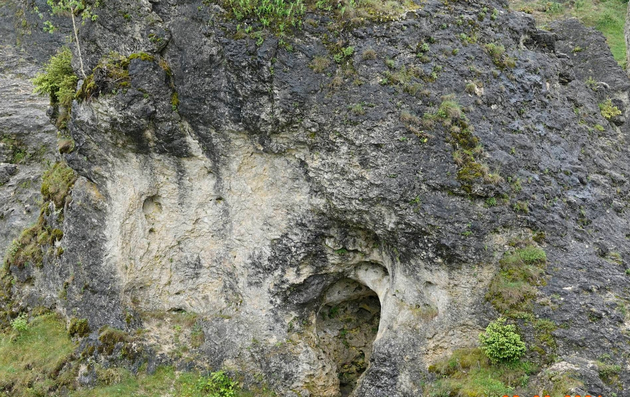 Felsenmeer Wental Detailaufnahme Dolomitfels Erosionsformen Karstgestein Schwäbische Alb