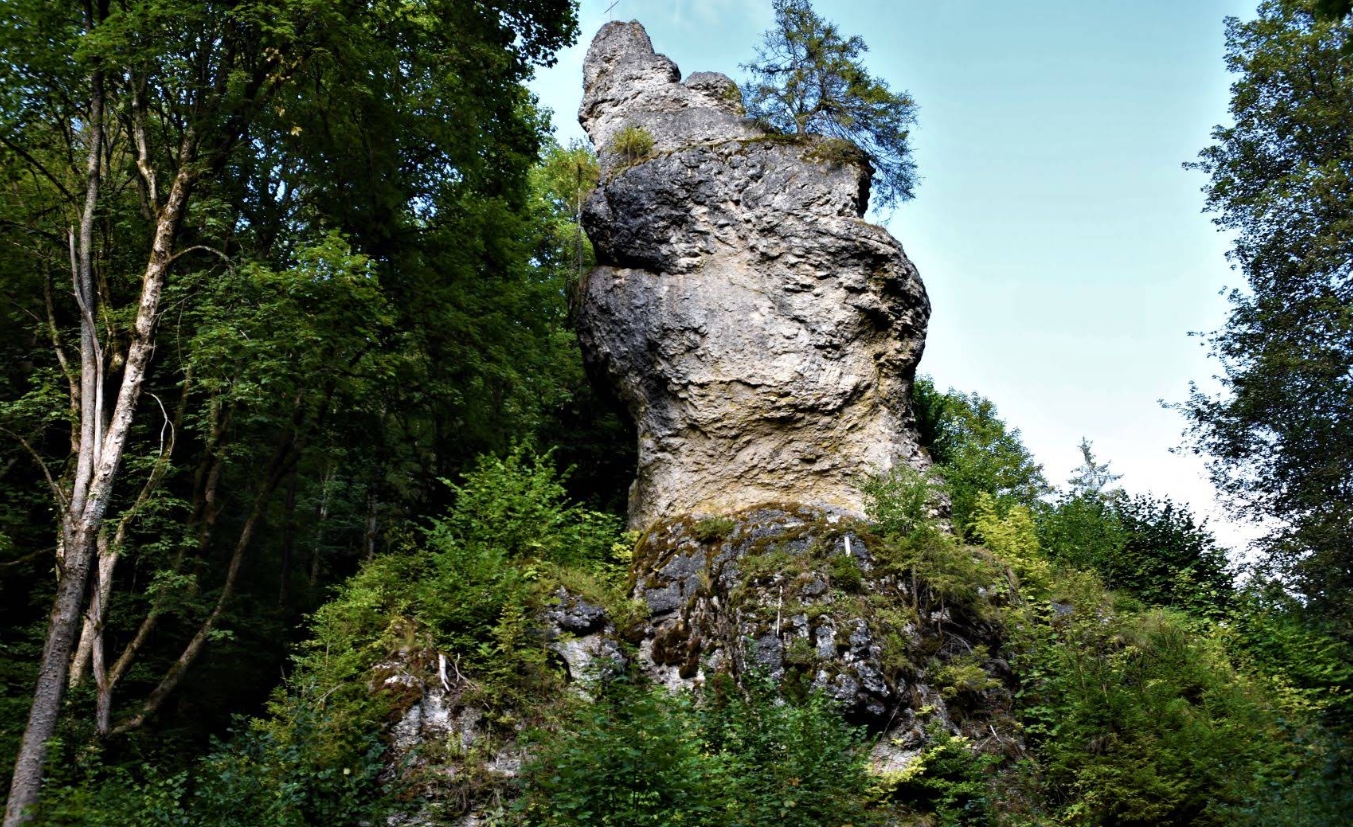 Einzelner Dolomitfels im Wental Schwäbische Alb ragt hoch über den Wald hinaus