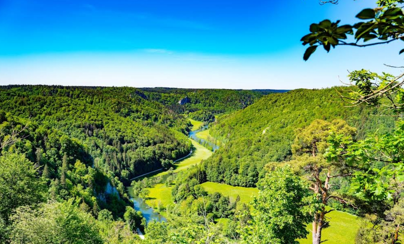 Knopfmacherfelsen Naturpark Obere Donau Donauschleife im sommerlichen Grün