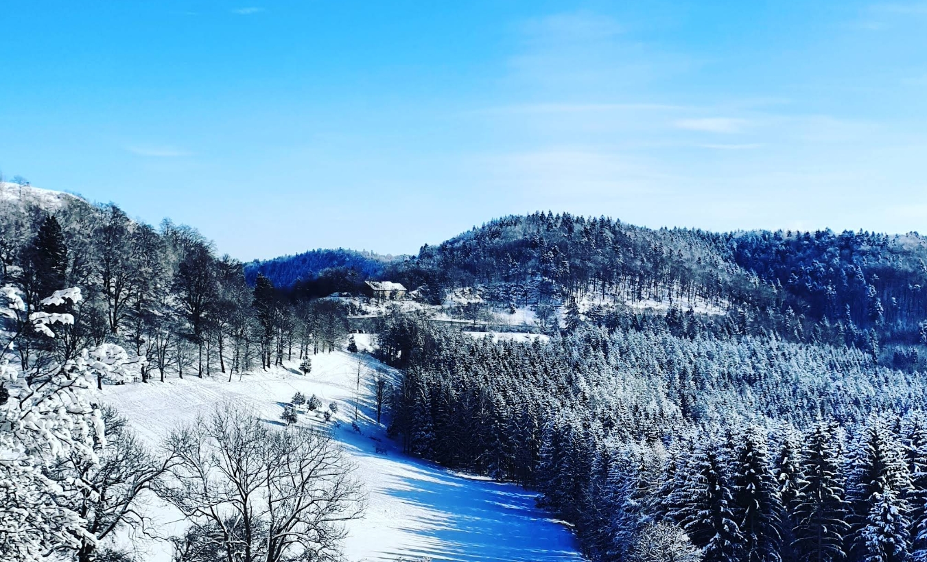 Lochenpass Winterpanorama Schwäbische Alb verschneite Wälder und Wiesen bei Balingen