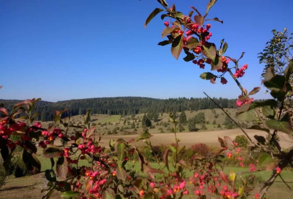 Naturschutzgebiet Digelfeld