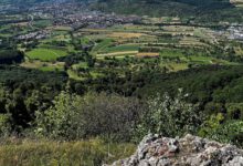 Panoramablick vom Rossfeld auf Metzingen mit Feldern, Wäldern und Schwäbischer Alb