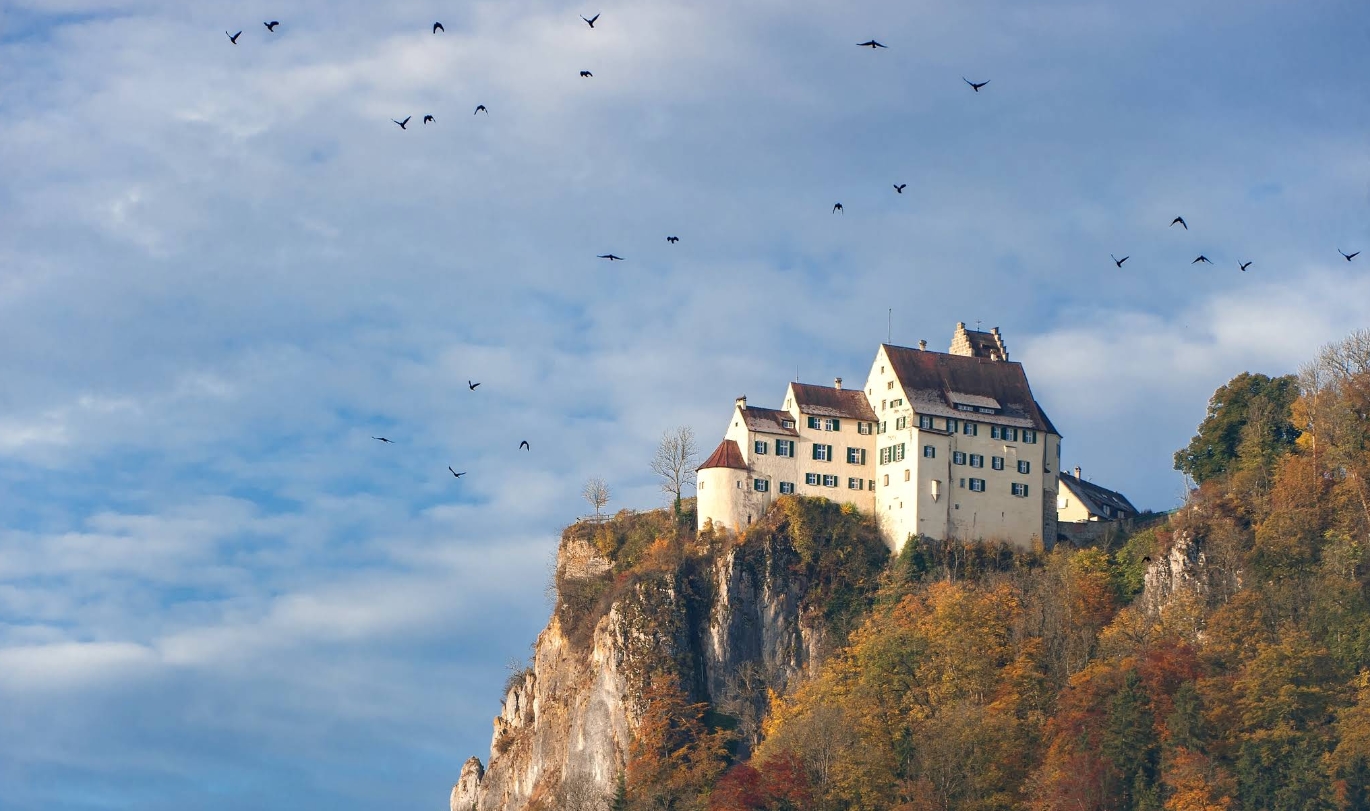 Schloss Werenwag Schwäbische Alb weiße Felsenburg über dem Donautal im Herbst mit Dohlenschwarm
