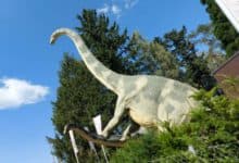 Großer Sauropode mit langem Hals vor blauem Himmel am Museum