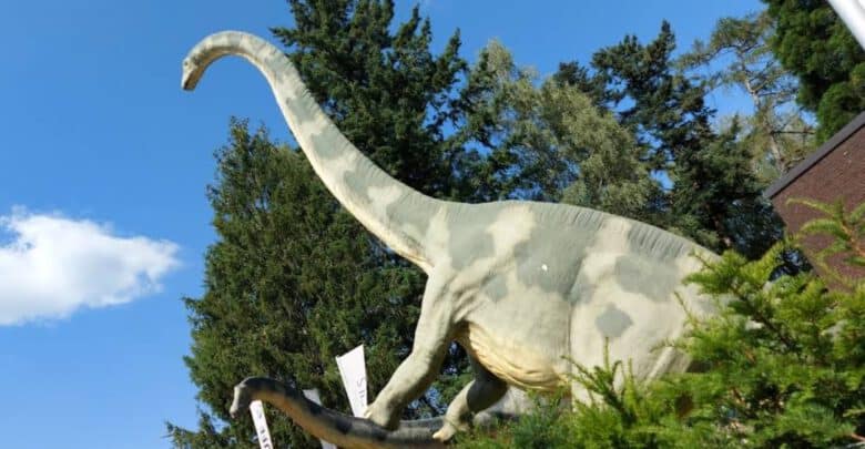 Großer Sauropode mit langem Hals vor blauem Himmel am Museum