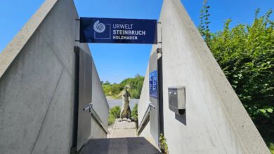 Eingangsbereich mit Schild Urwelt Steinbruch Holzmaden und Dinosaurier-Skulptur