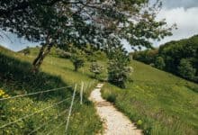 Wanderweg mit Zaun durch grüne Hügellandschaft am Jusi bei Neuffen