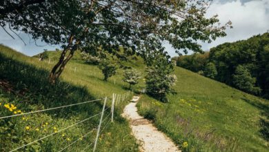 Wanderweg mit Zaun durch grüne Hügellandschaft am Jusi bei Neuffen