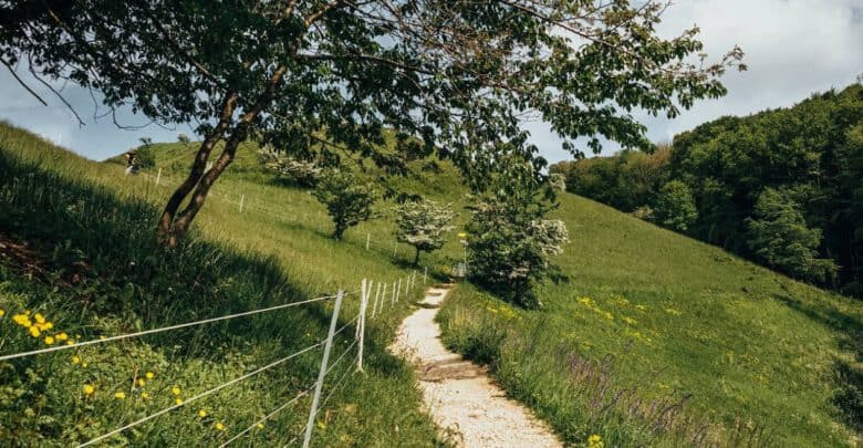 Wanderweg mit Zaun durch grüne Hügellandschaft am Jusi bei Neuffen