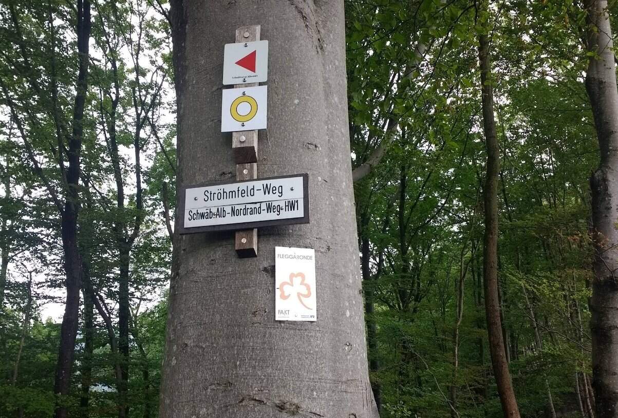 Wanderwegmarkierungen am Baumstamm für Schwäb-Alb-Nordrand-Weg