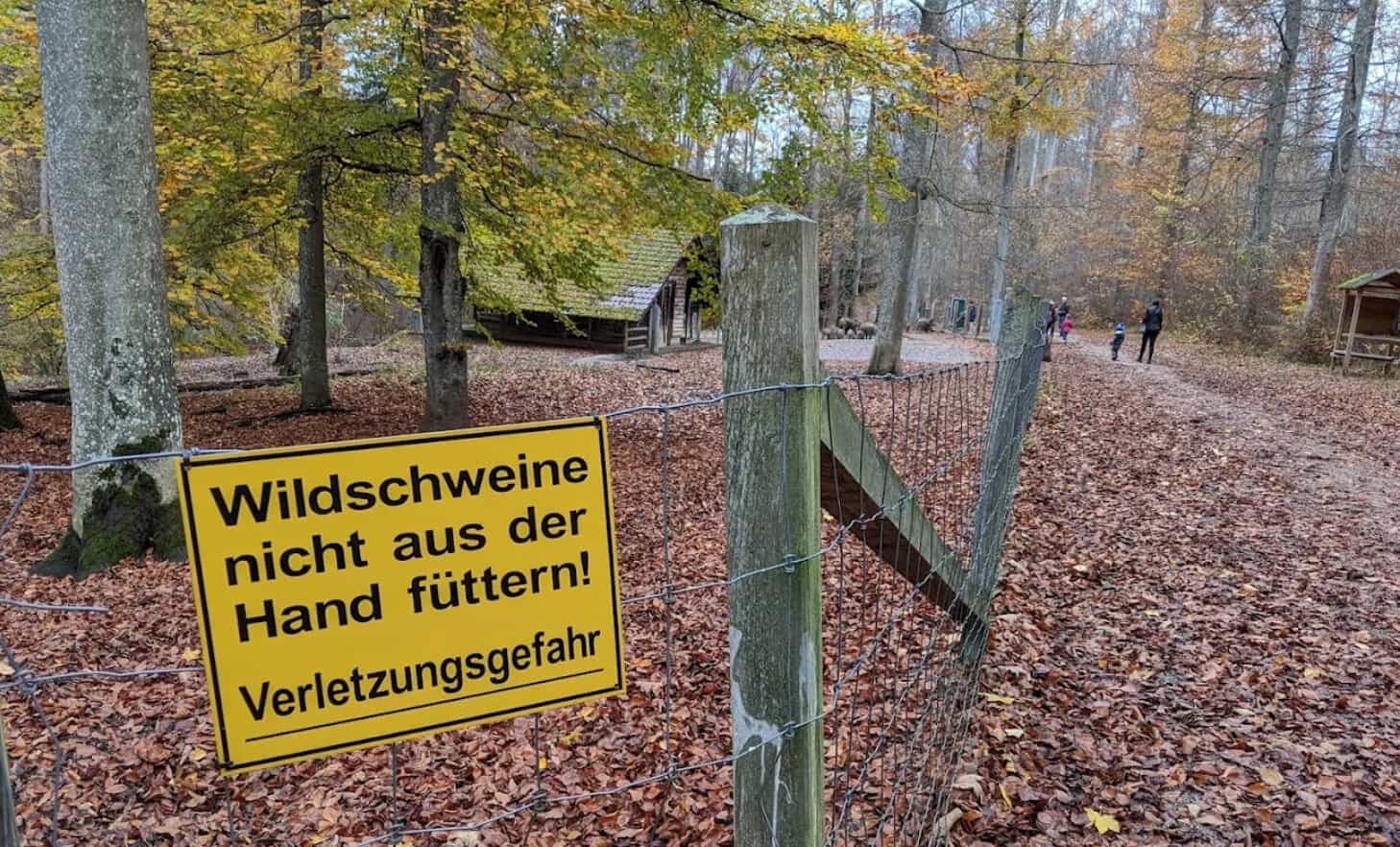 Warnschild Wildschweine nicht füttern im herbstlichen Wald