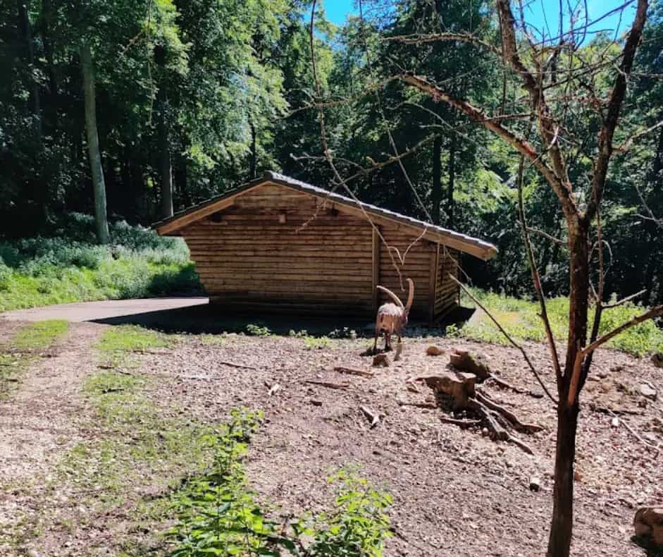 Holzhütte zwischen Bäumen mit Tierhaltung im Wildpark Eichert