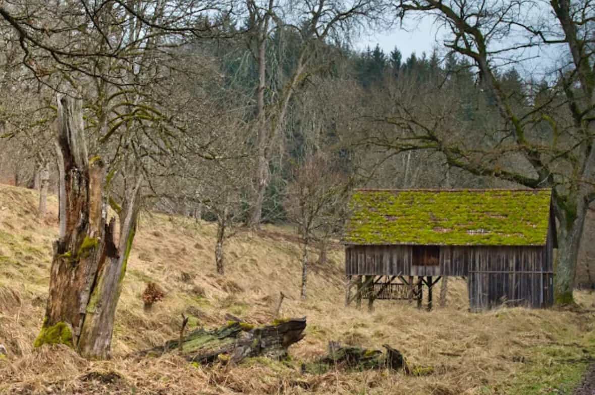 Wildpark Josefslust Sigmaringen historisches Gebäude im Wald Hohenzollern