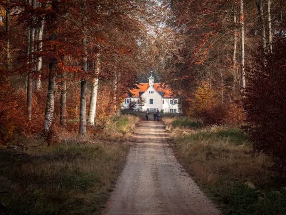 Wildpark Josefslust Sigmaringen Waldweg Abendstimmung Herbst