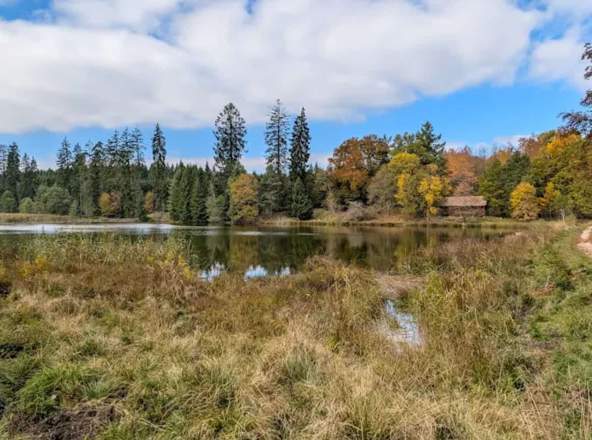Wildpark Josefslust Sigmaringen Weiher Herbststimmung Spiegelung