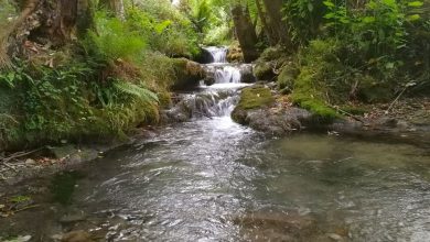 Brühlbach im Maisental