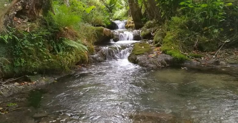 Brühlbach im Maisental