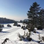Auf dem Winterwanderweg Traufgang Wintermärchen