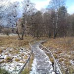 Holzdielenweg durch das Schopflocher Moor Holzdielenweg durch das Schopflocher Moor