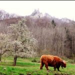 Im Neidlinger Tal Neidlinger Tal