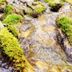 Die Lindach speist den Neidlinger Wasserfall