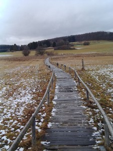 Das Schopflocher Moor