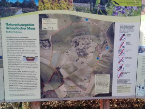 Infotafel vor dem Moor