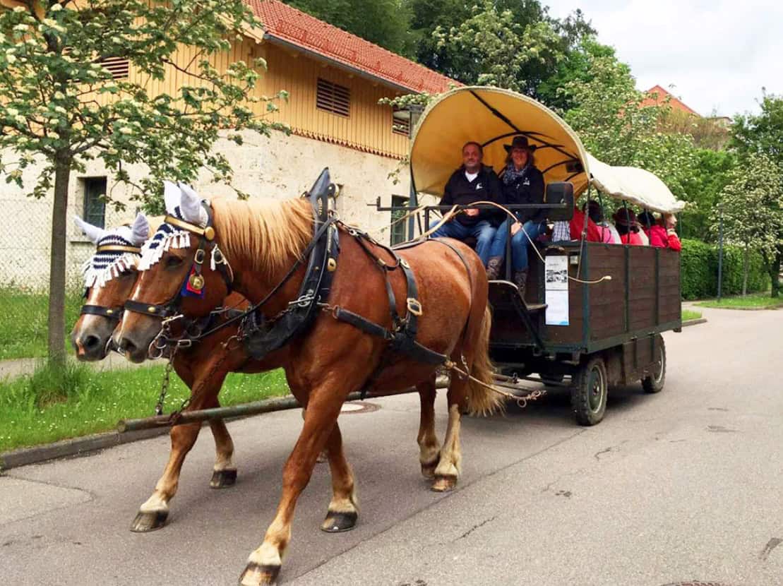 Kutschfahrt über die Schwäbische Alb bei Münsingen mit Pferden und wunderschöner Landschaft