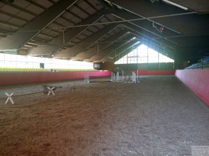 Große Reithalle auf dem Gestüt