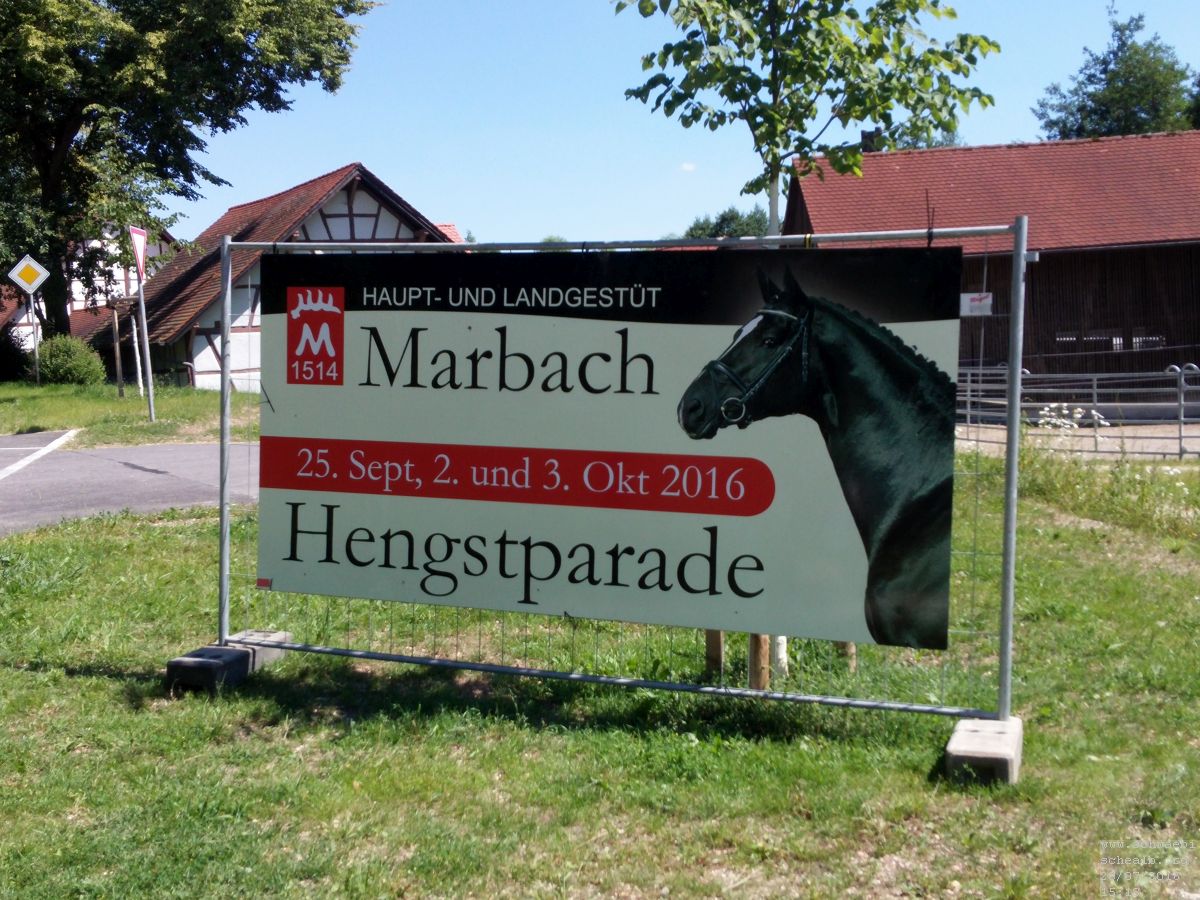 Marbacher Hengstparade