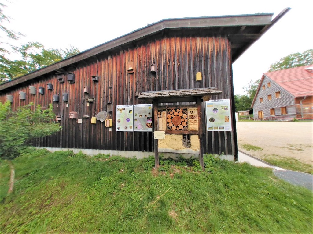 Etwas über die Bienen auf der Alb lernen