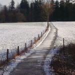 Weg zur Ruine Reußenstein