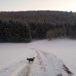 (Kurz-)Wanderung bei Lenningen und der Pfulb-Loipe