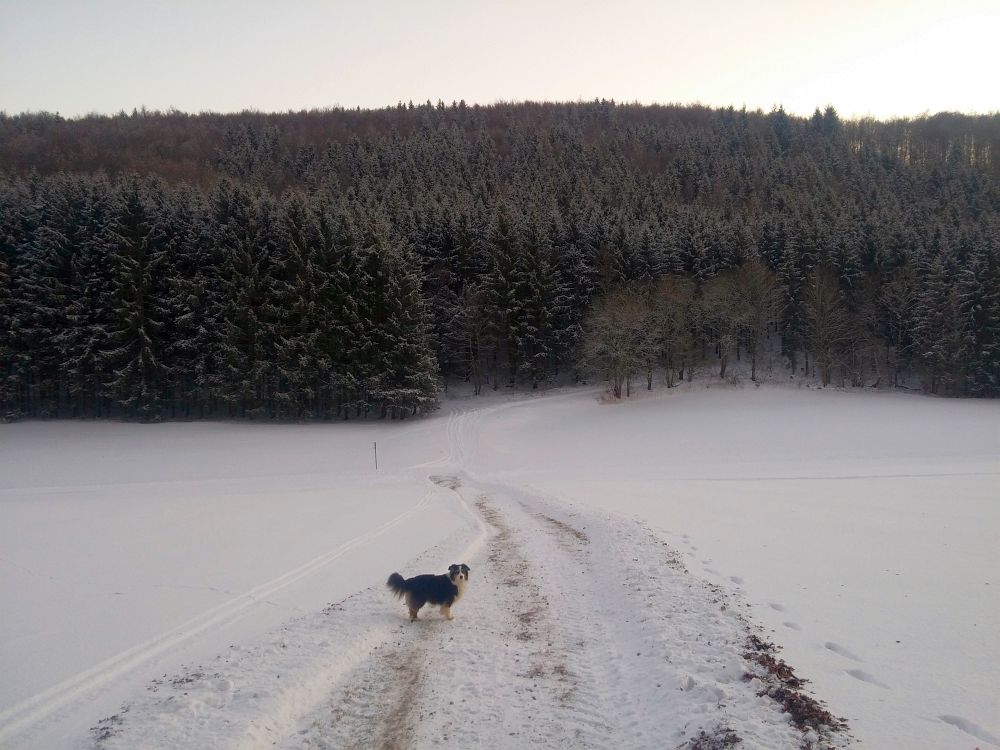 (Kurz-)Wanderung bei Lenningen und der Pfulb-Loipe