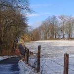 Wanderweg zur Ruine