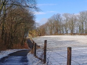 Wanderweg zur Ruine